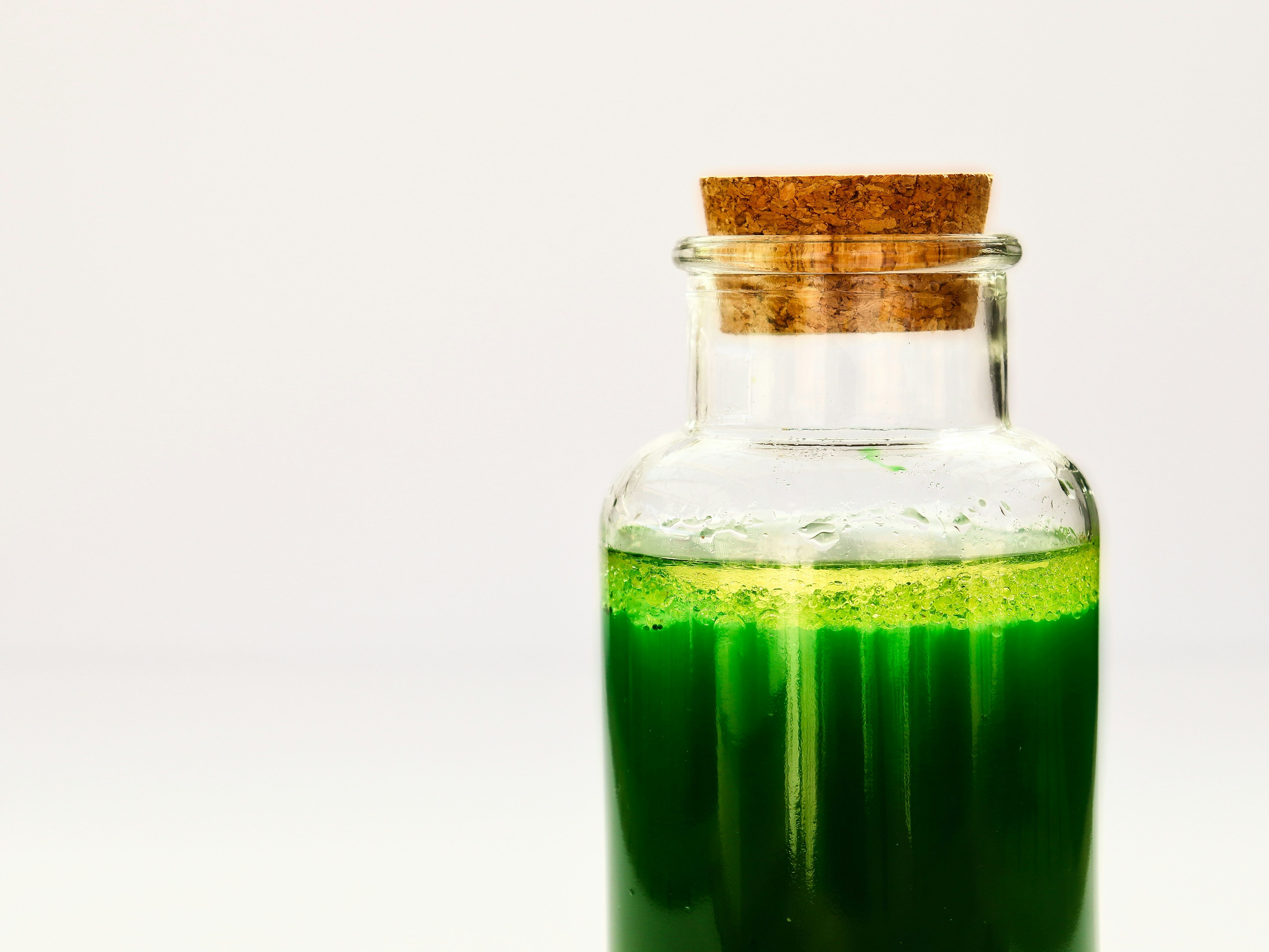 energi bio energi bio